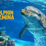 谷歌发布 DolphinGemma:AI破译海豚语言：Pixel手机变身“翻译器”