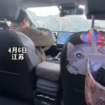 女子打网约车跑一半方向盘掉了 网友：真多功能方向盘