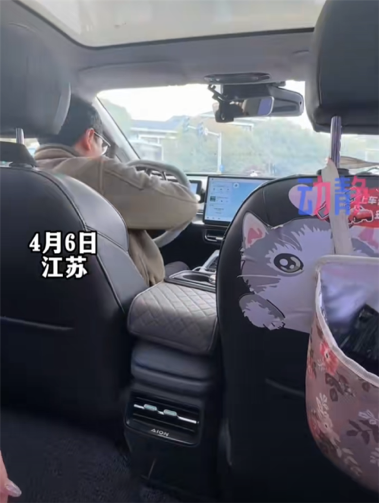 女子打网约车跑一半方向盘掉了 网友：真多功能方向盘