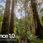 字节Seedance 1.0 Pro发布：超越Veo 3，AI视频生成新王者诞生！